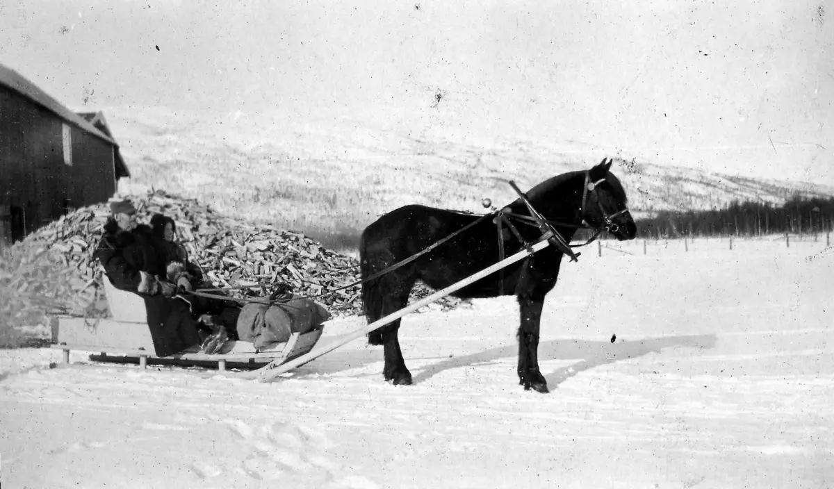 Hilbert Helgesen og Anne Helgesen på kjøretur med hest og sluffe. Huset