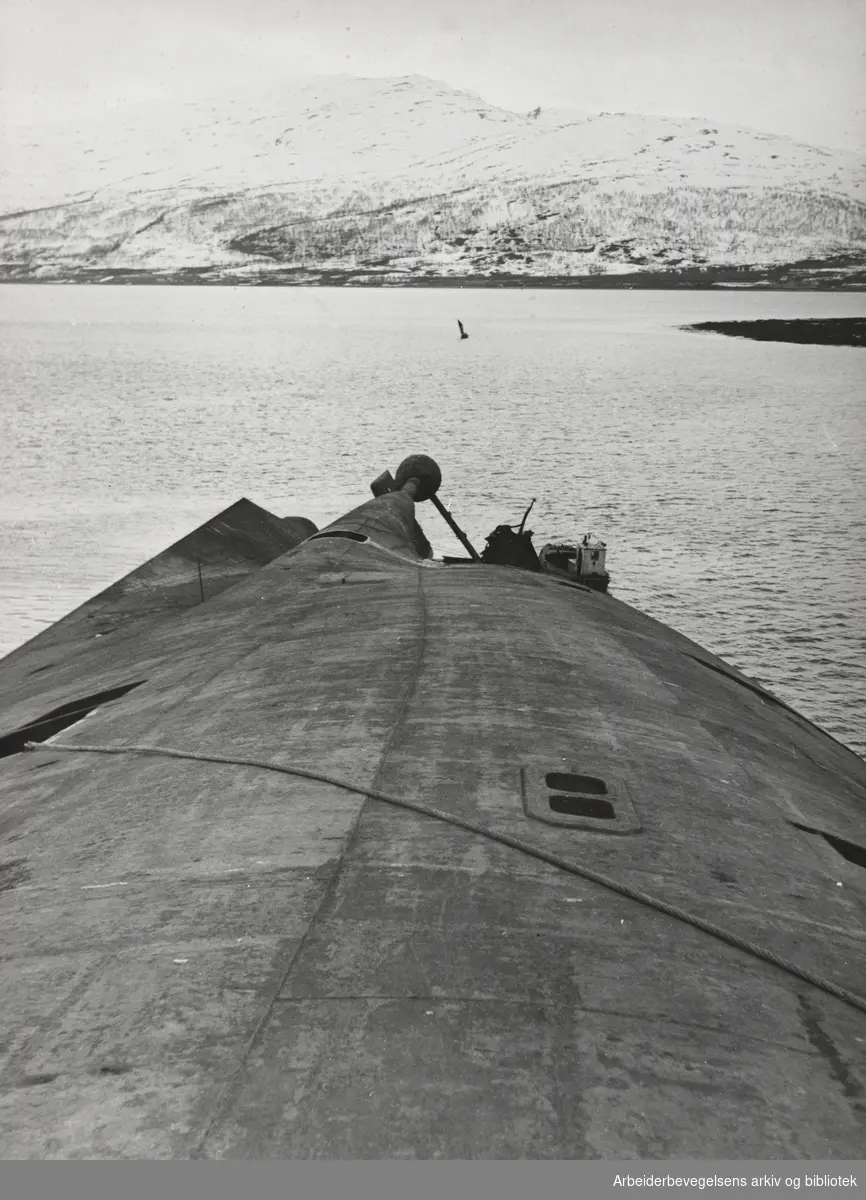 Vraket etter det tyske slagskipet Tirpitz ved Håkøya utenfor Tromsø. "Propellakslene fra en annen synsvinkel. I bakgrunnen Håkøya. På folkemunne heter Tirpitzvraket "Håkøykalven". 1945.