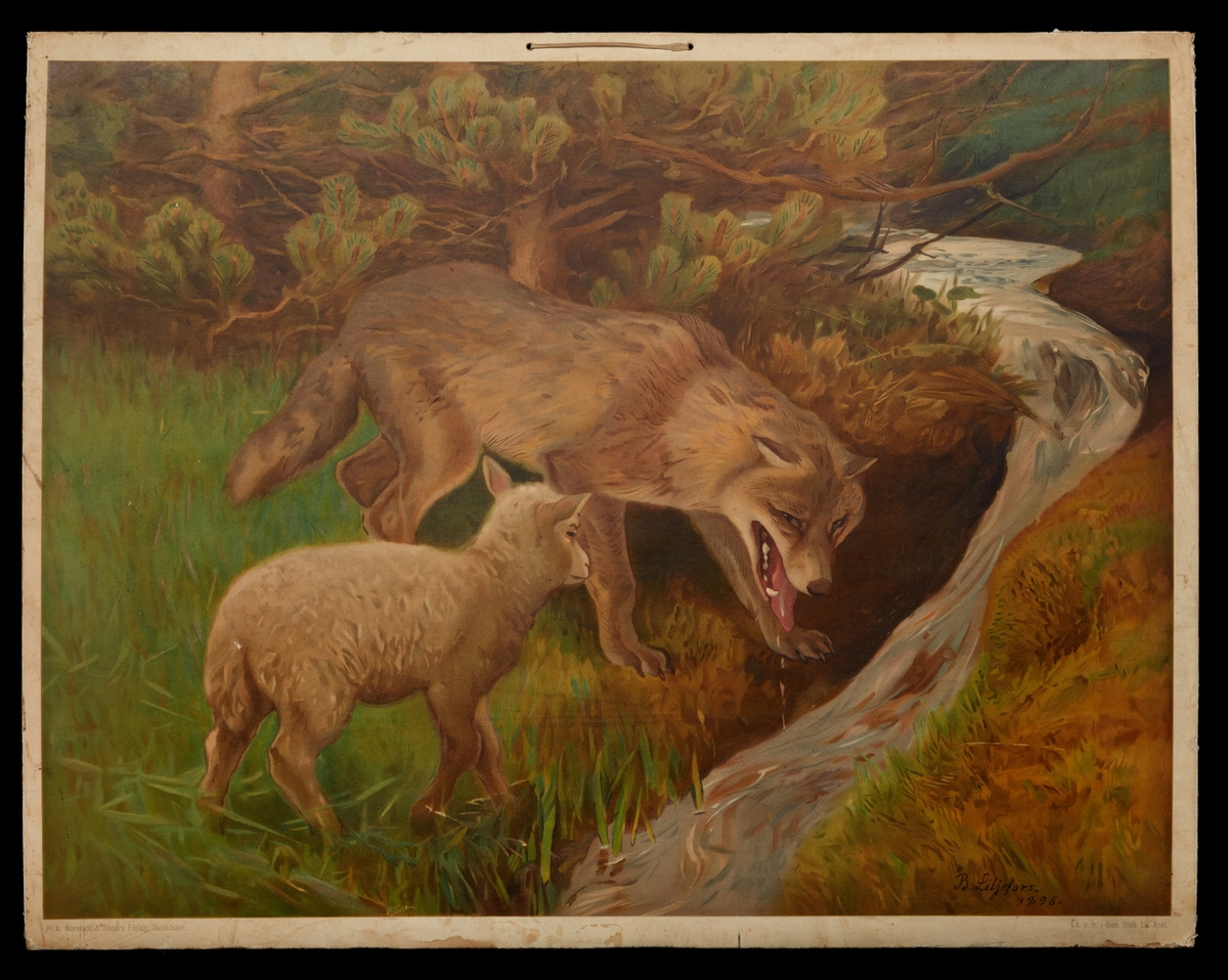 Fyra stycken skolplanscher med djur och naturmotiv, åtminstone tre illustrerade av Bruno Liljefors.
