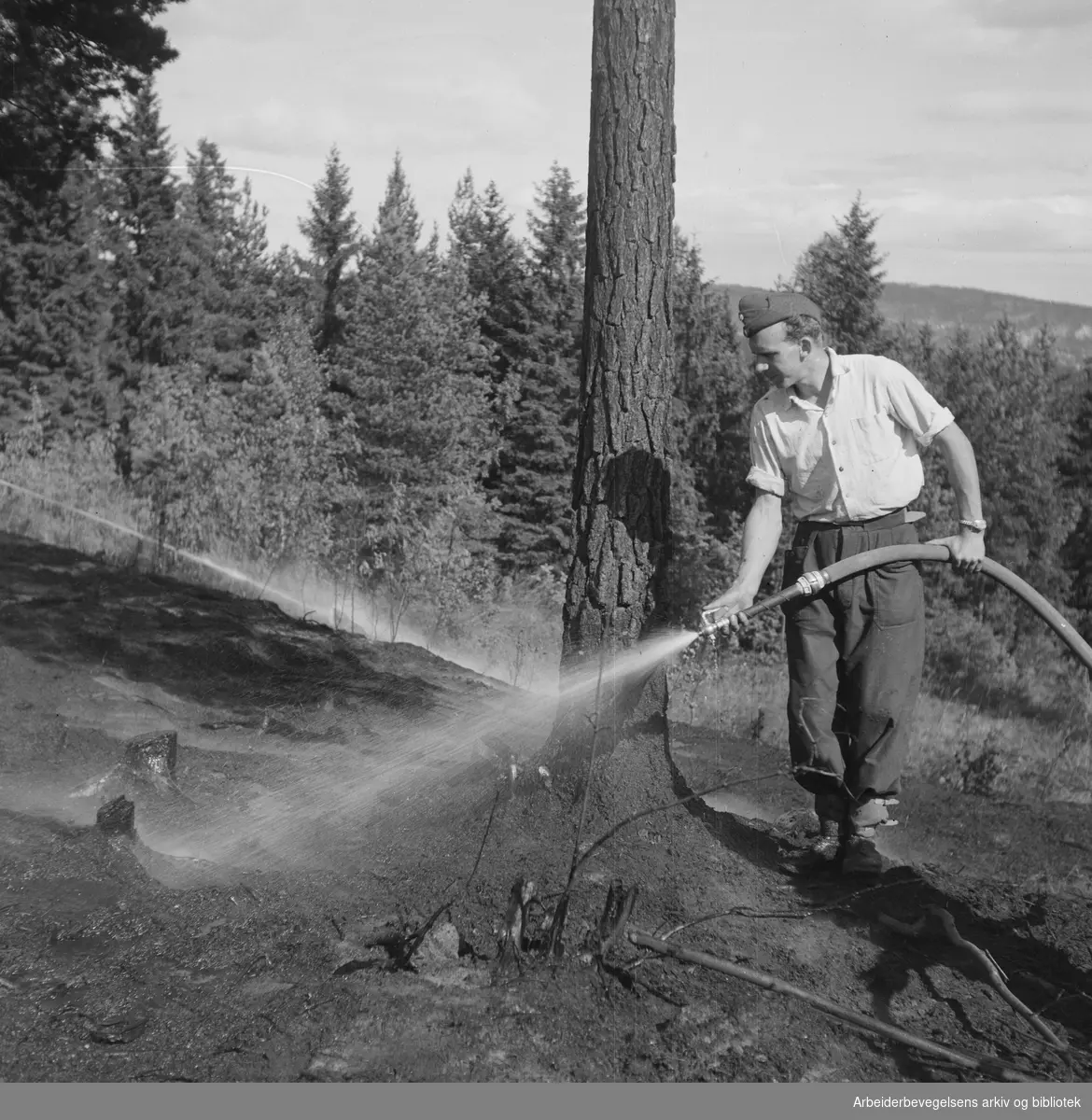 Slukking av en skogbrann i Oslomarka. Udatert. Ingen andre oppl.1953