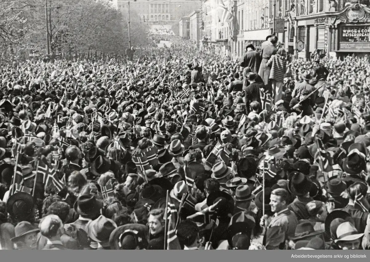Oslobefolkningen feirer Danmarks grunnlovsdag på Karl Johan. 5 juni 1945