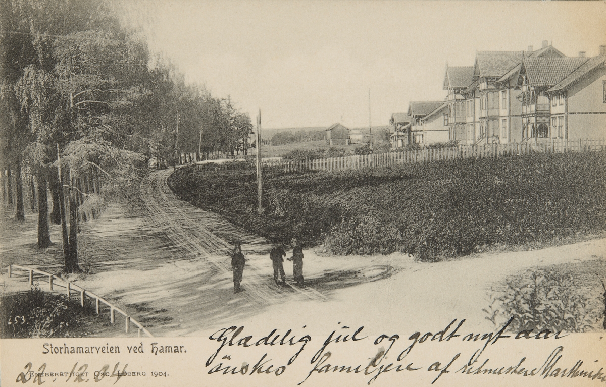 Postkort, Hamar, Storhamarstranda, de første villaene langs Storhamargata, boliger, Strandpromenaden,