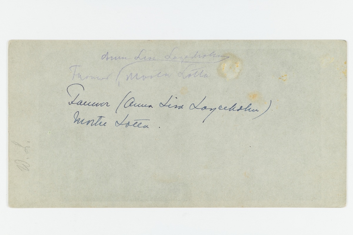 Anna Lisa (Anna Elisabeth) Lagerholm, Lotta och korna. 
Gård Nr. 54 söder, Örebro.