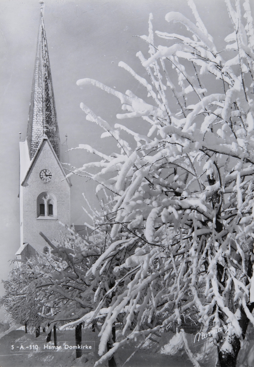 Postkort, Hamar domkirke, vinterstemning med snø på tre, kirketårnet med urverk,