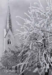 Postkort, Hamar domkirke, vinterstemning med snø på tre, kir