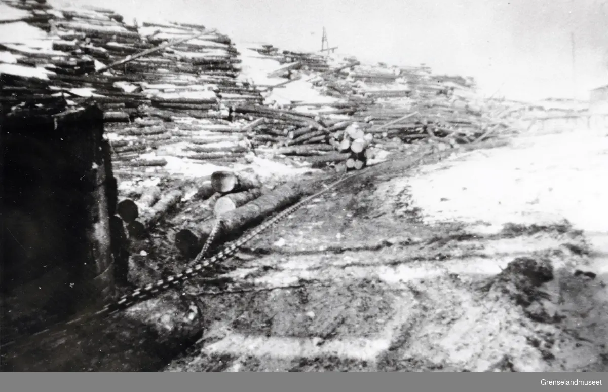 Tømmeropplag på sagbruket på Pasvik Timber på Jakobsnes. Kjerraten er på bildet. Bildet er tatt i 1929. 