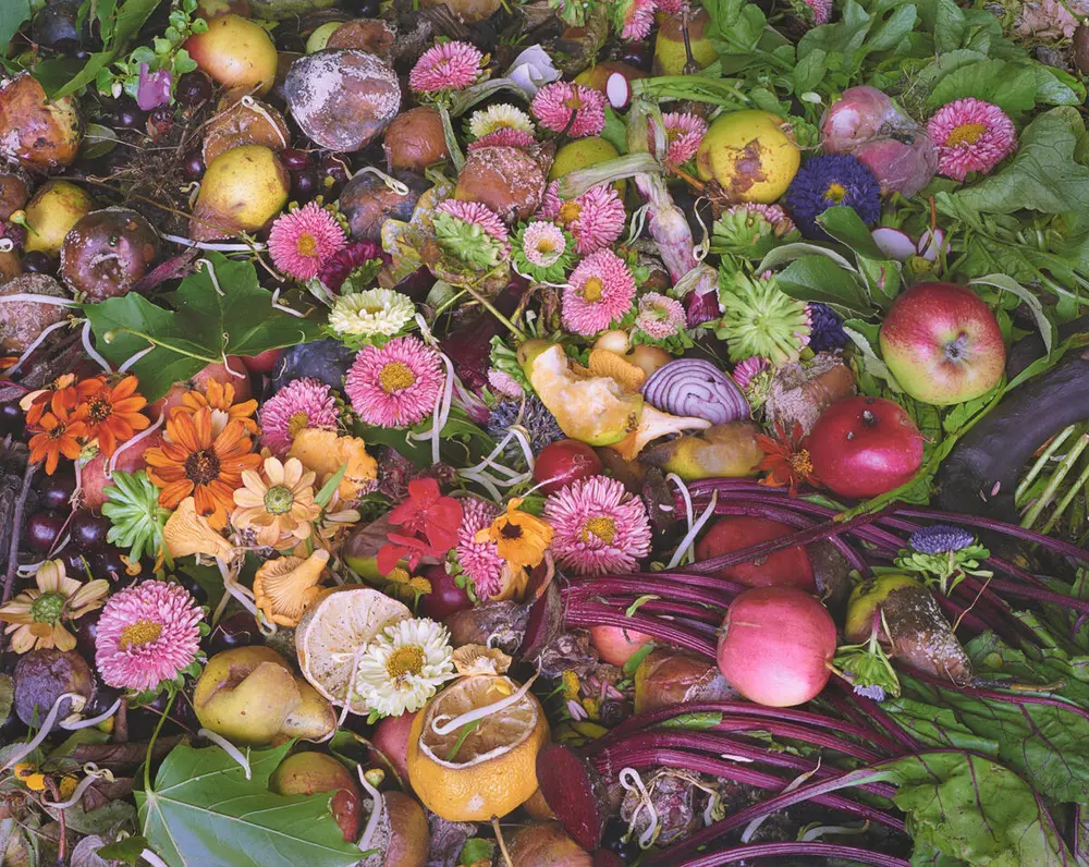 Fargerikt bilde av blomster og frukt som nedbrytes til jord.