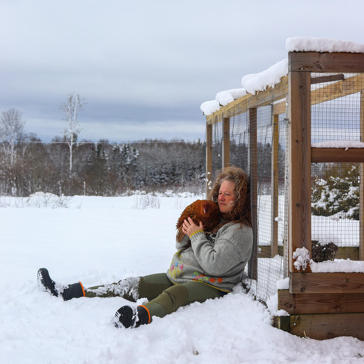 En kvinne sitter i snøen med en brun høne på fanget