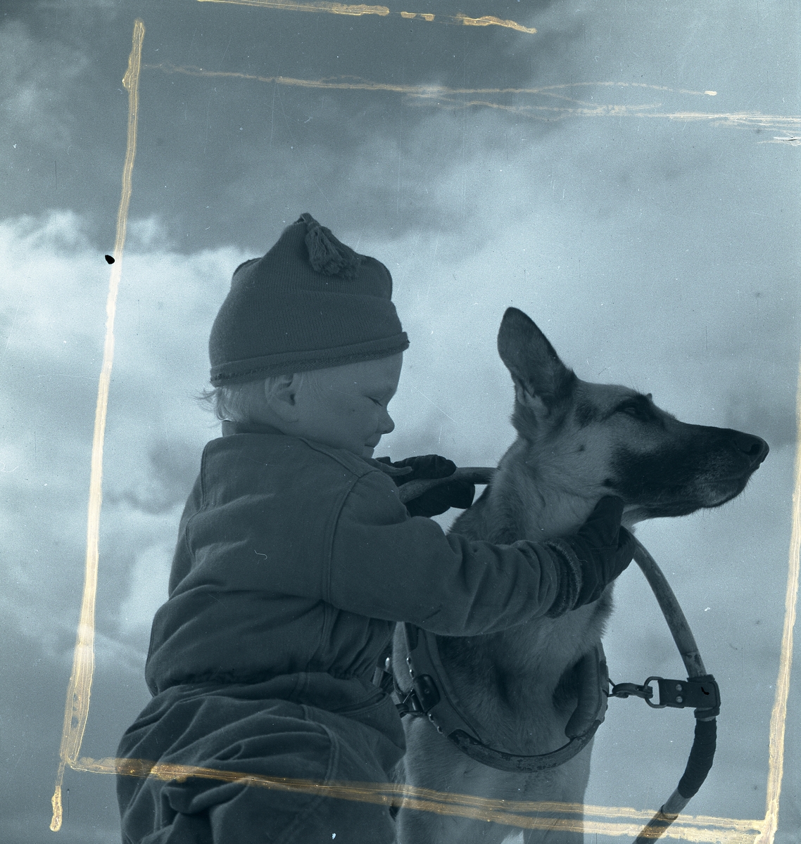 Hildings son selar hunden Lessie i Ramundberget 1947.