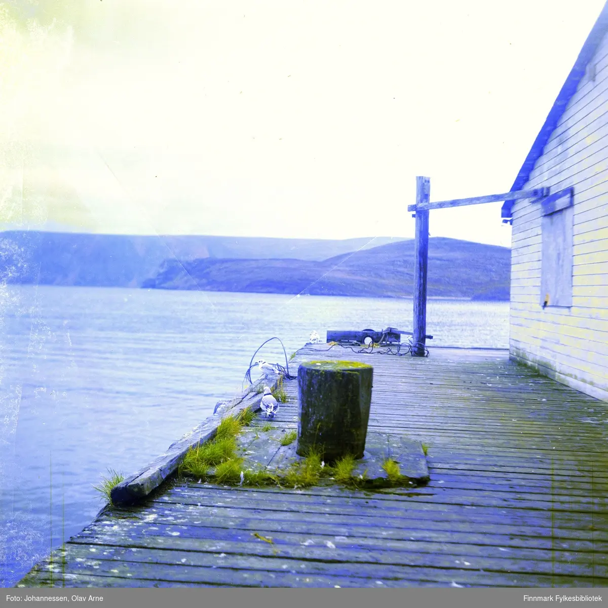 Tatt fra et bruk i Nordfjord, Syltefjord. Man ser Veidnesodden som deler Nordfjord og Hamna og i det fjerne ser man Kysttavla i Syltefjorden. Foto trolig tatt på 1960/70-tallet.
