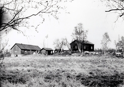 Bjørklund Gård, 1977. Nystua står til høyre, til venstre stå