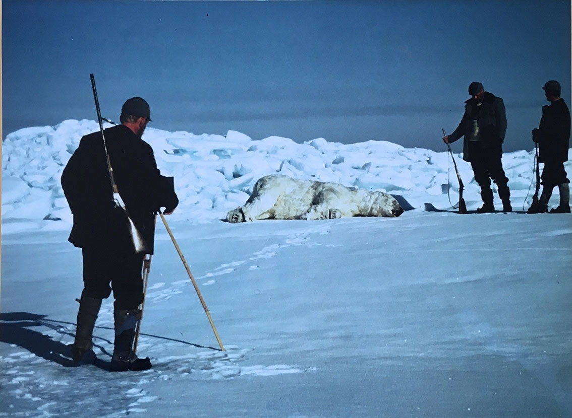 Två män med gevär står på en is intill en liggande konstgjort isbjörn. En tredje man står i förgrunden med en kamera, vänd mot de andra.