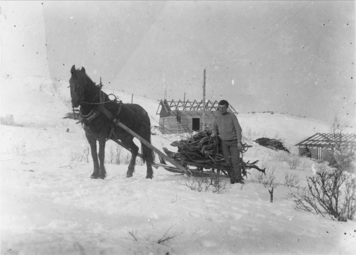 Vedkjøring med hest ved Høydalsgruva.