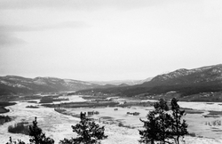 Isgang og flom i Østerdalen våren 1934. Dette fotografiet la