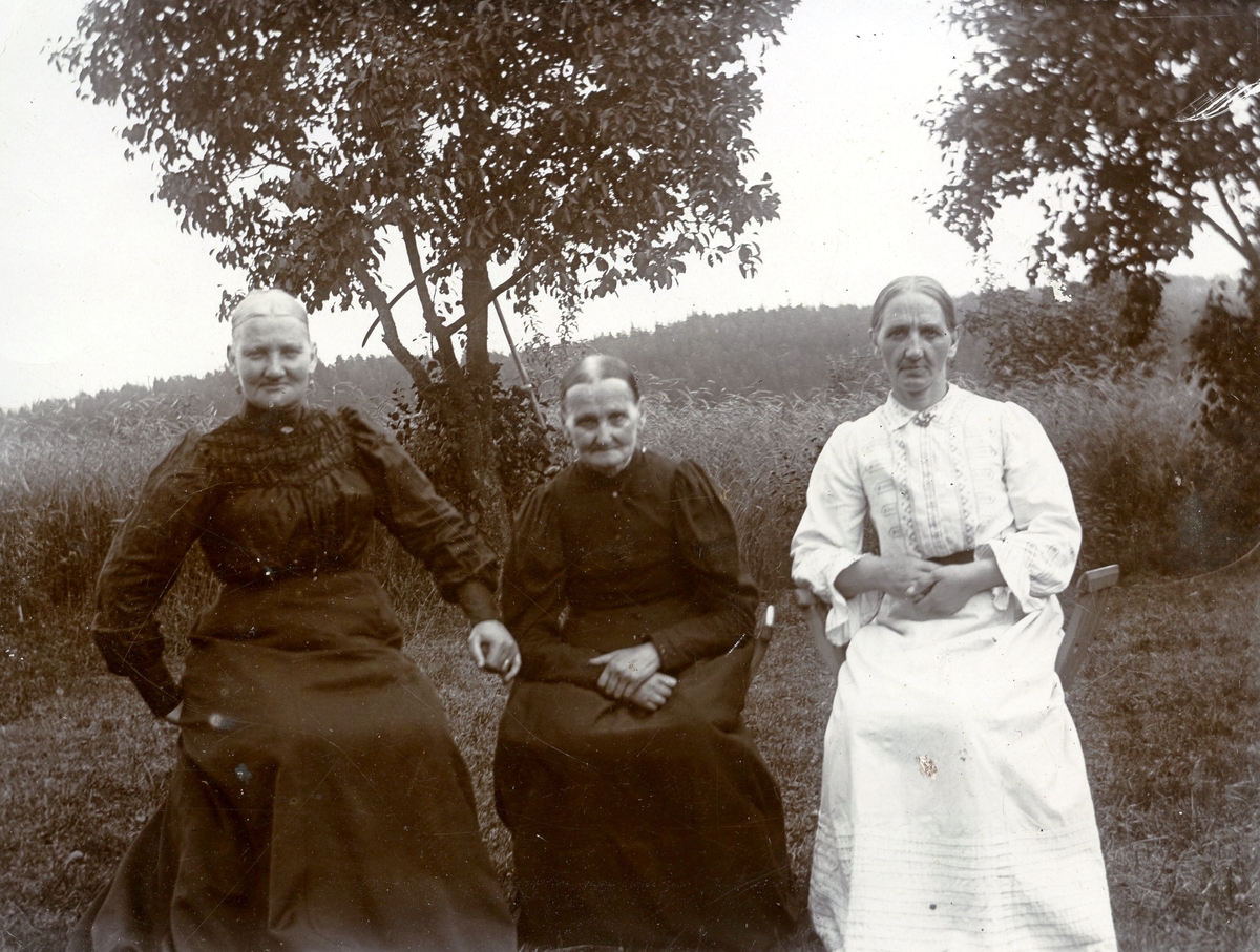 Tre kvinnor står framför en äng, Livered "Majas" före 1925.
Från vänster: 1. Beata Andersson, Vommedal Östergård "Jonases" (född 1849 i Lindome, död 1925 i Kållered. 2. Emma Andersson, Liveres "Majas" (född 1854 i Landvetter, död 1931 i Kållered). 3. Okänd kvinna. Beatas son Albert var gift med Emmas dotter Karin, så de var svägerskor.
Relaterade motiv: A0265 och A1210.