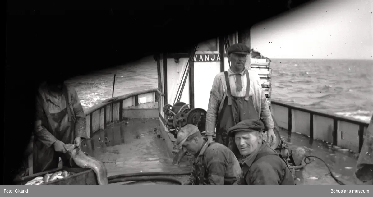 Besättning med fångst på en fiskebåt.