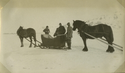Hestetransport på isen.