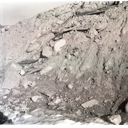 Graver i Virgohamna sommeren 1958. Sokneprest Erling J. Nødt