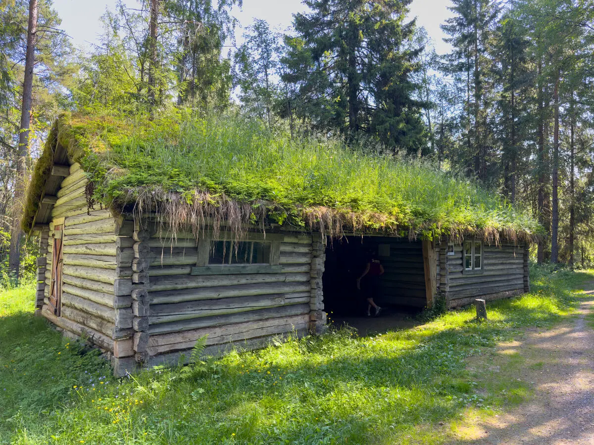 Eksteriør av en skogskoie laget av tømmer.