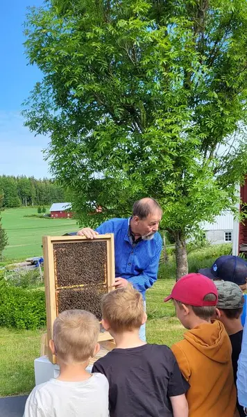 Fem skolelever står foran en vokstavle med bier i. En birøkter forteller om bienes verden. Sommer. Bildet er tatt fra et opplegg i tilknytning Den Kulturelle Skolesekken.