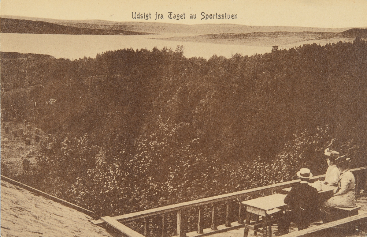 Postkort, Hamar, Sportsstua på Alhaug, Skistua, senere Hedmarktoppen, utsikt mot Hedmarkslandskap, kafé,