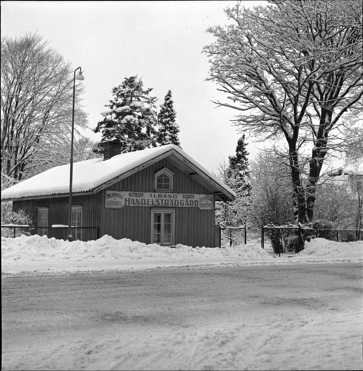 Handelsträdgården Albano på Göteborgsvägen.