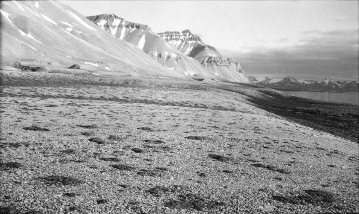 Kapp Ekholm. Bildet kommer fra The Cambridge Spitsbergen Expedition. Ekspedisjonen besto av seks menn, de fleste var geomorfologer, som dro fra England til Svalbard via Nordkapp og Bjørnøya om bord på Lyngen sommeren 1938. Målet deres var å kartlegge området rundt Nordenskioldbreen, Gipsvika og Brucebyen.