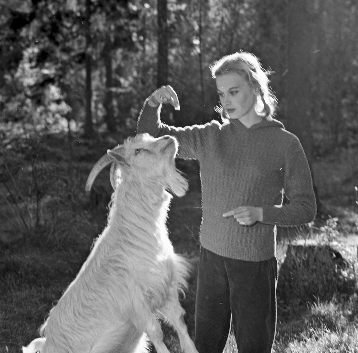 Reklamfotografering Sjöbergs Garn, sommarmode 1958