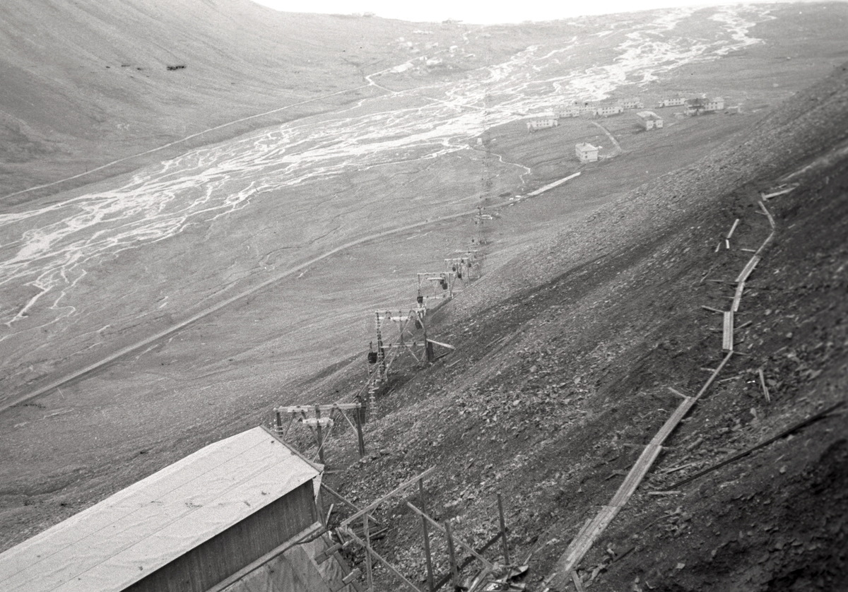 Gruve 2b, Haugen og Skjæringa sommeren 1951. Bildet fra en botanisk tur til Svalbard. Turen foregikk Sven-Erik Sandermann Olsen sammen med Carl-Erik Reenberg, begge farmaceuter med passion for botanik.