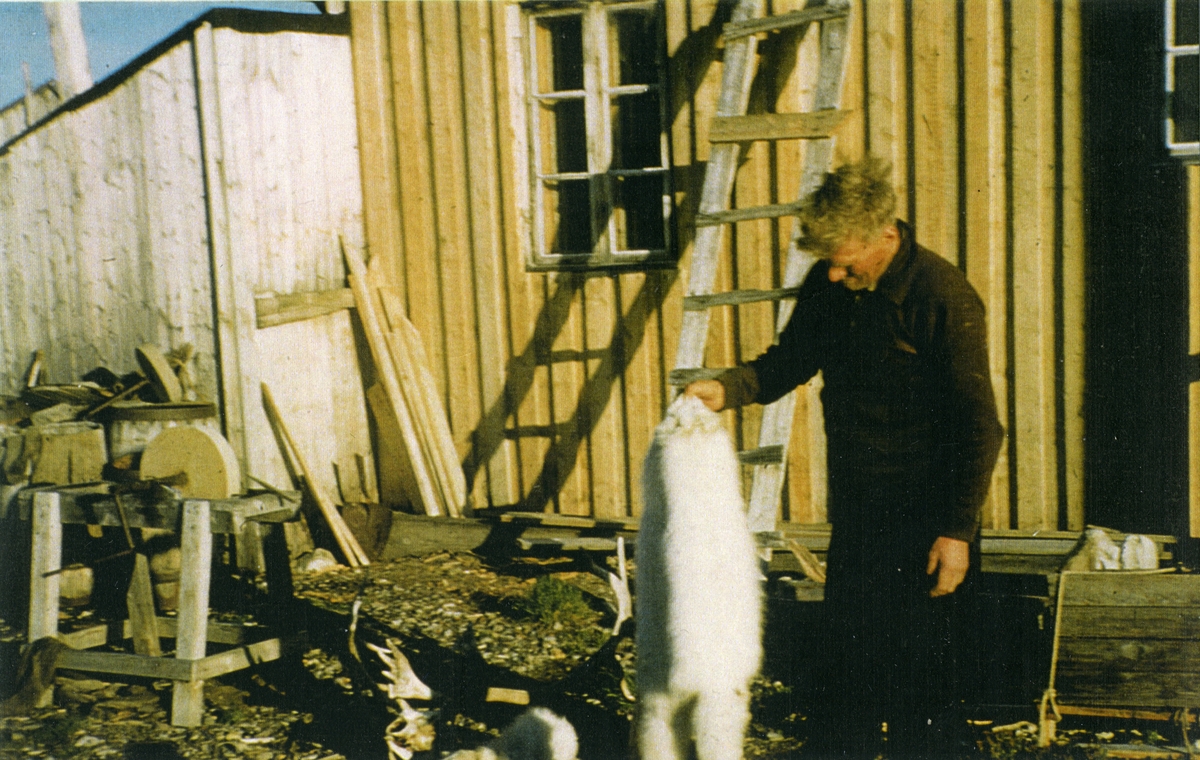 Bilder innlevert av Stein Balstad i 1999. Bildene har tilhørt hans foreldre Liv Balstad og Håkon Balstad. Håkon Balstad var sysselmann på Svalbard fra 1945 til 1956. Fangstmann Hilmar Nøis med reveskinn