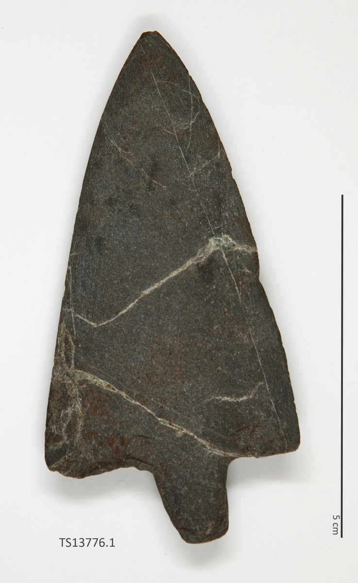 Pilspiss i grå skifer, 1 stk, med rette mothaker og tange. Denne typen er i bruk i både periode III av yngre steinalder og første del av tidlig metalltid. 