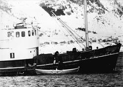 M/S "Grytøy" i ferd med å ekspedere Ytre Elgsnes som var et 