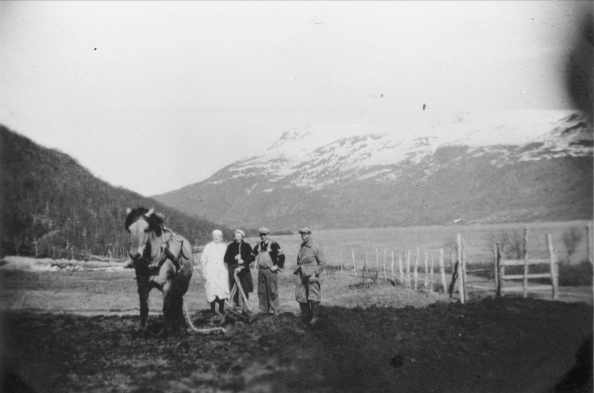 Fire personer med hest og plog på Nordlund.