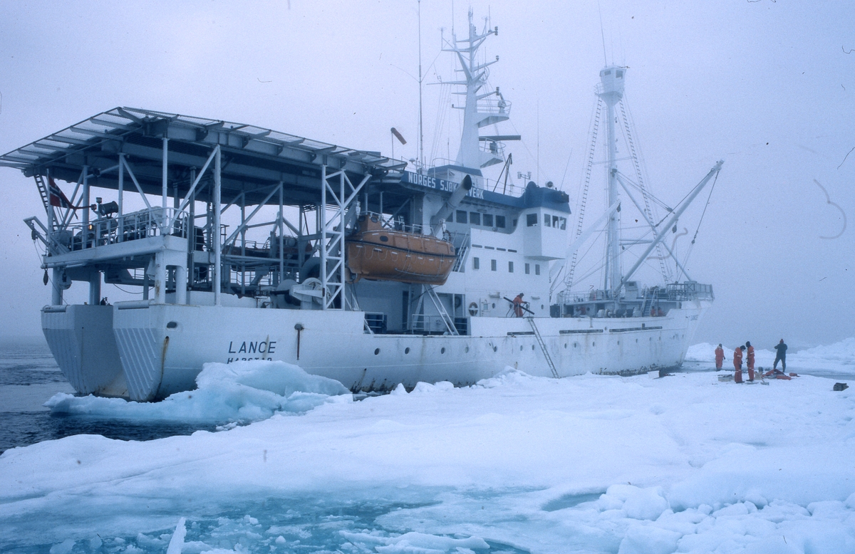Forskningsskipet Lance tokt Svalbard, i pakkisen.
