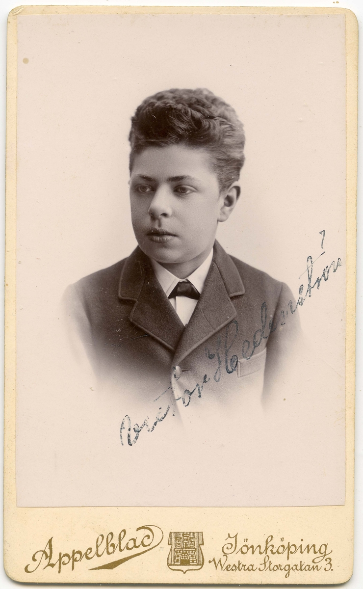 Porträtt på Victor Hedenström.