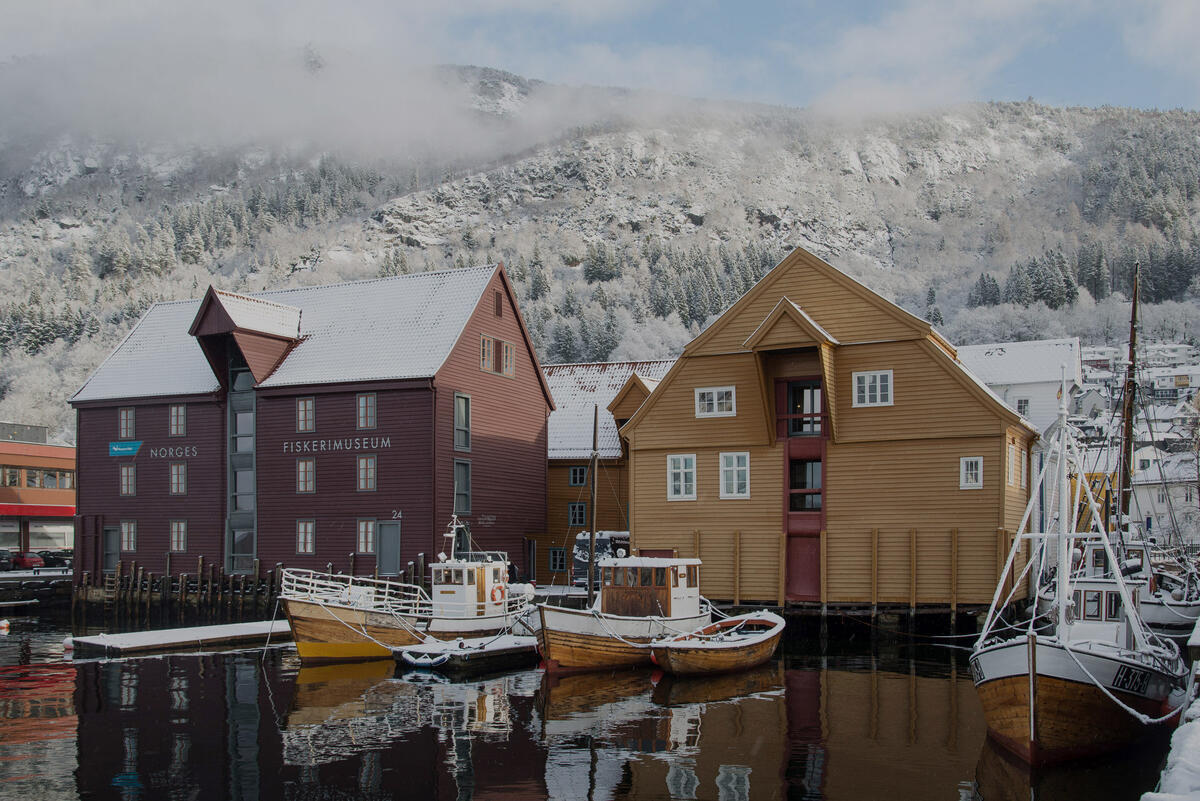 Bildet viser Norges Fiskerimuseum sett fra sjøen, i nydelig vinterlys og snø på tak og fjell