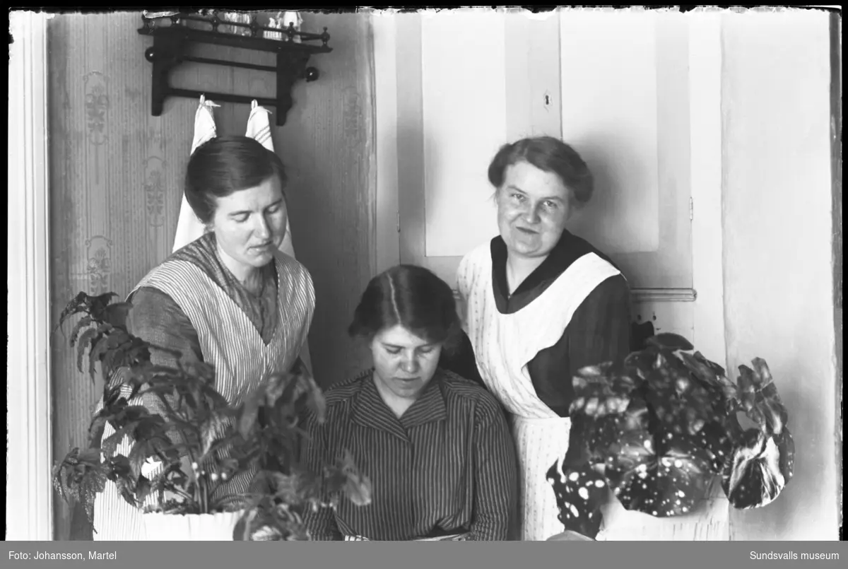Fotografens tre systrar Märta Johansson, Johanna "Hanna" Johansson och Sigrid Persson inomhus med krukväxter i förgrunden.