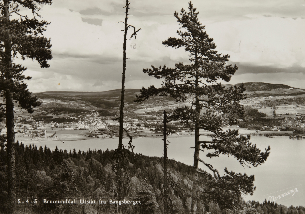 Postkort, Ringsaker, Brumunddal sett fra Bangsberget, utsikt, Furnesfjorden, furutrær,