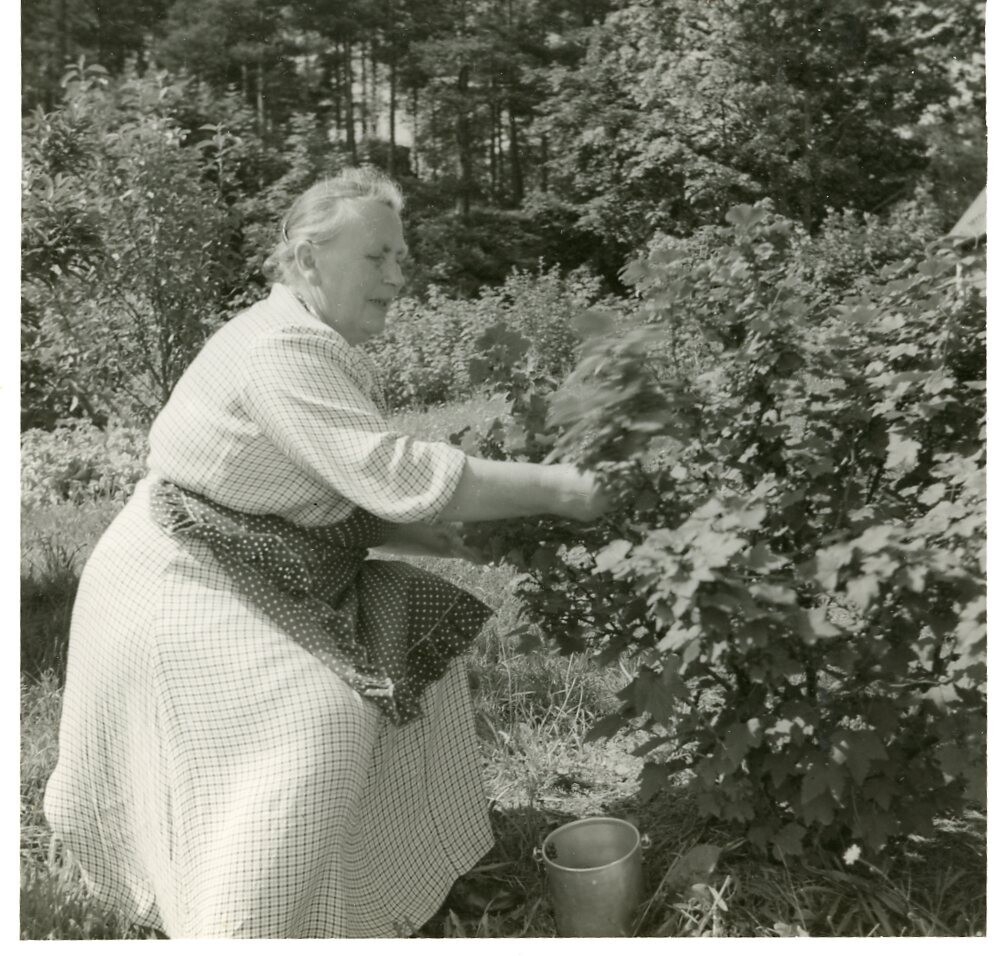 Gilje, Haldri Augusta (1896 - 1987)
 
