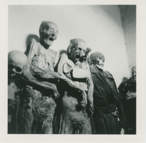 Mumier fotografert i Museo de las Momias de Guanajuato, Mexico.