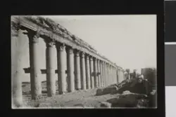 Ruiner i Palmyra. Fotografi tatt i forbindelse med Elisabeth