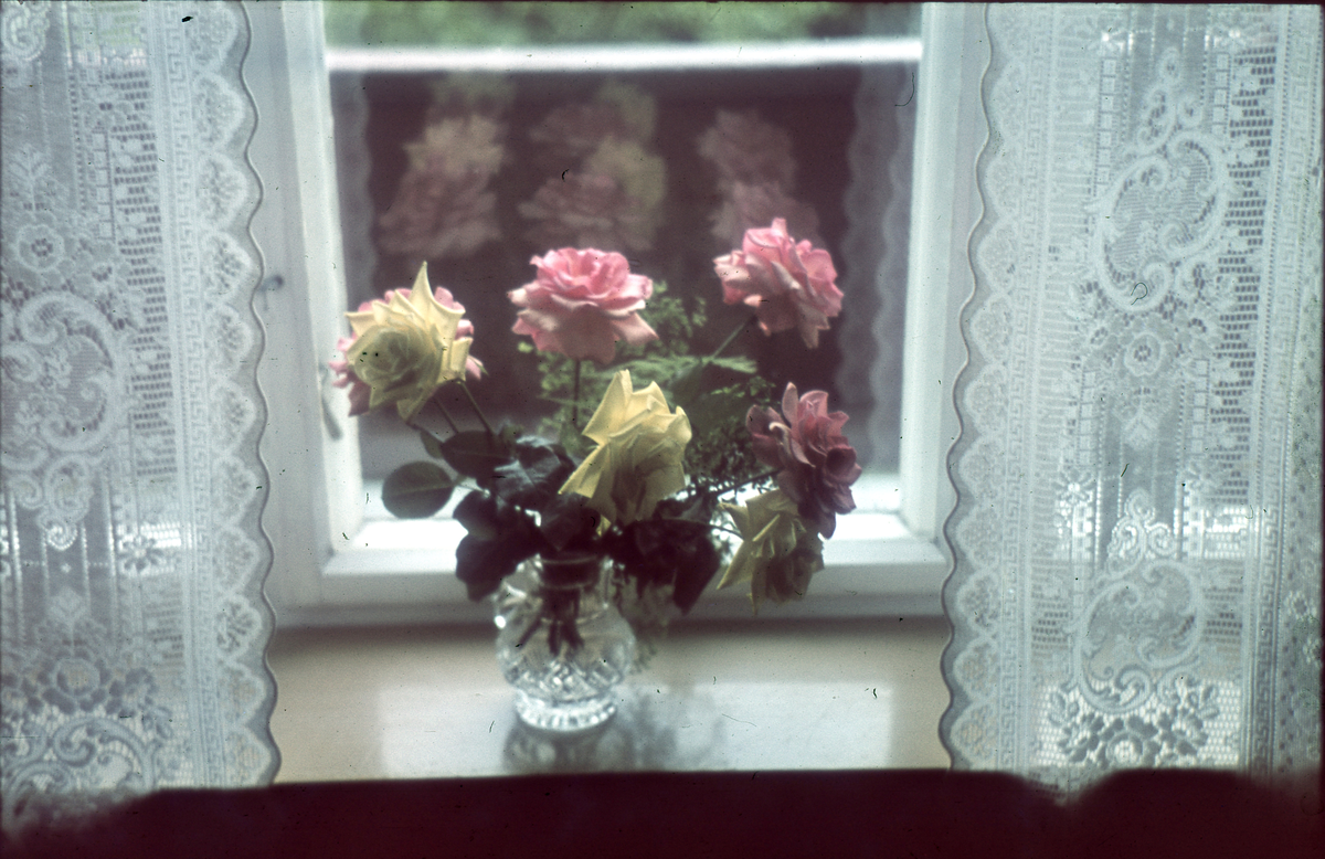 Blomsterbuketter i en vinduskarm. Trolig blomster gitt i gave til fotograf Alf Schrøder i anledning hans 70-års dag.