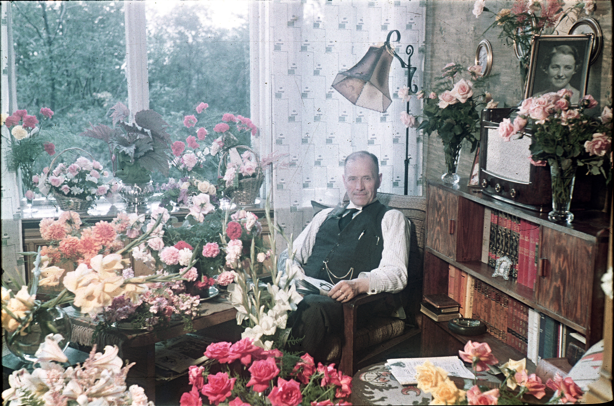 Fotograf Alf Schrøder fotografert på sin 70-års dag, omgitt av blomster. Alf Schrøder er fotografert sammen med en liten fugl som sitter på skulderen hans.