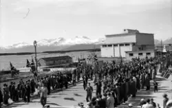 "Våren 1952"."Fra Alexandrabalkongen 17.mai 1952"