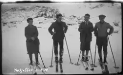 Skiløpere i Vassfjellet