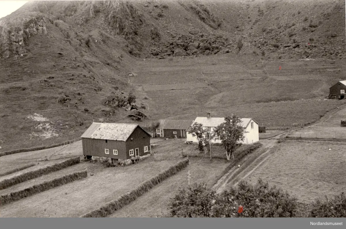 Gårdsbruk på Stegen på Engeløya i Steigen. Gården ble eid av Peder Daniel Danielsen.