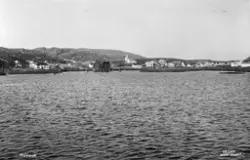 Prot: Nordland, Rørvik