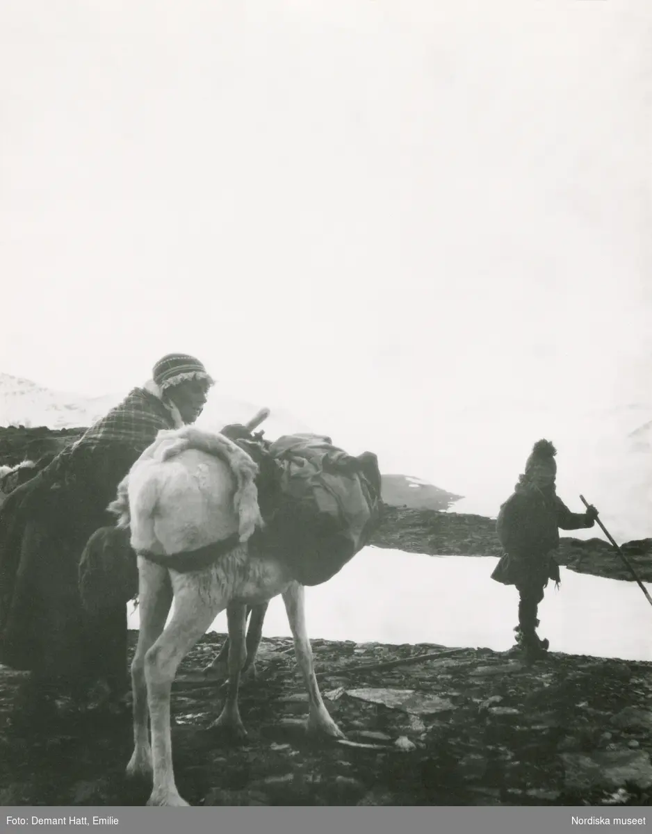 En kvinna, en man och en ren i ett snöigt fjällandskap under vårflyttningen från Närvä. Bildtexten anger att barnet ammas. Bilden ingår i en serie fotografier tagna av Emilie Demant Hatt i Sapmi mellan åren 1907 och 1916.