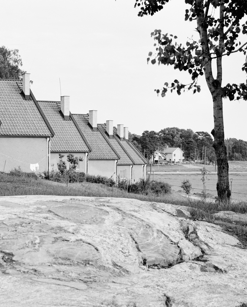 Skönstaholm
Exteriör, radhusområde, entréfasad som vetter mot öppet fält.