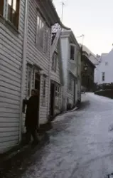 Bergen, Vestlandet, 1983